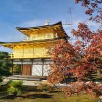 【京都】金閣寺