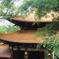 仙湖植物園端午行：尋古寺鐘聲·探萬株綠意