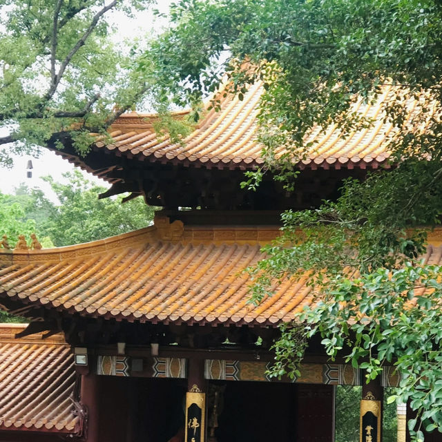 仙湖植物園端午行：尋古寺鐘聲·探萬株綠意