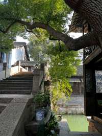 Old Town, New Memories: A Journey Through Xizha, Wuzhen