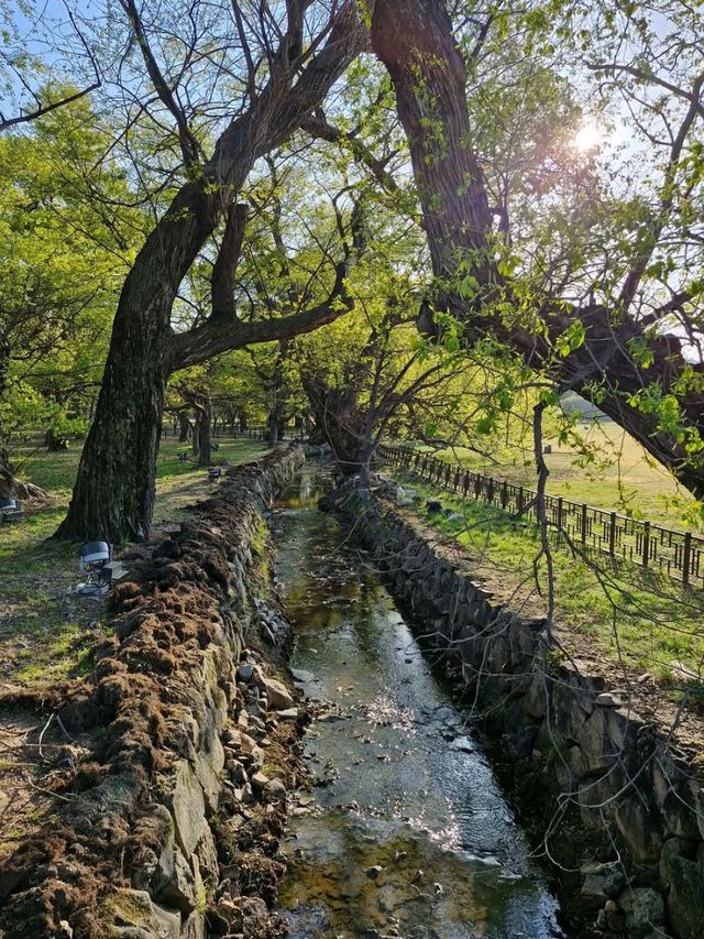 Peaceful Walks