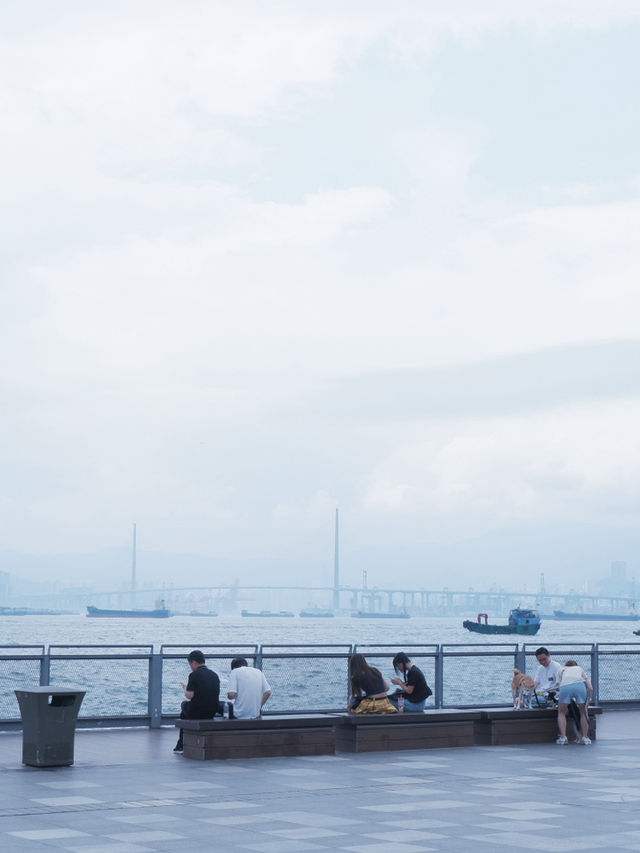 西營盤一日遊：咖啡、海景、古蹟