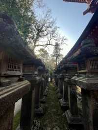 奈良｜春日大社的神鹿與浪漫 細數旗下神秘的壺神神社、拍子神社