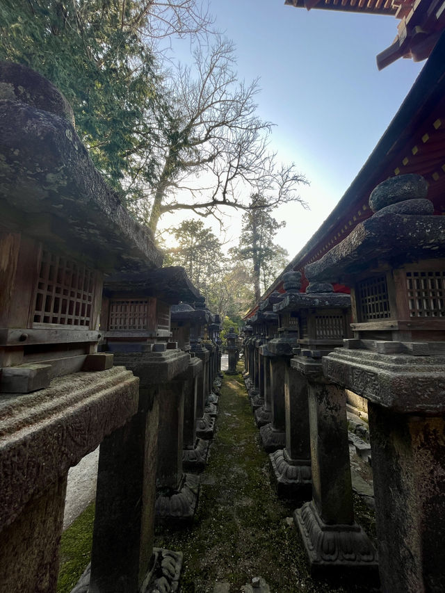奈良｜春日大社的神鹿與浪漫 細數旗下神秘的壺神神社、拍子神社