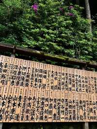 โอซาก้า🇯🇵