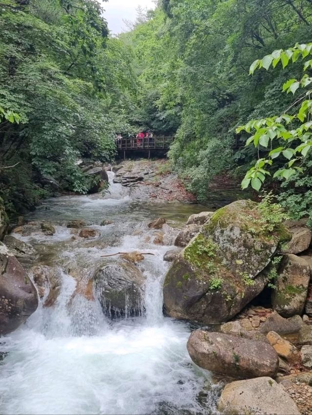Wandering Wolaksan