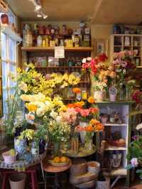 🌼【青山 COUNTRY HARVEST】草花の物語を感じる、大人の花屋さん体験🌿