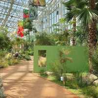 Korea | Suwon Yeongheung Arboretum – A Green Escape