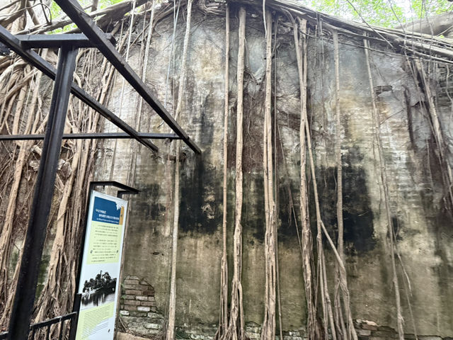 安平樹屋