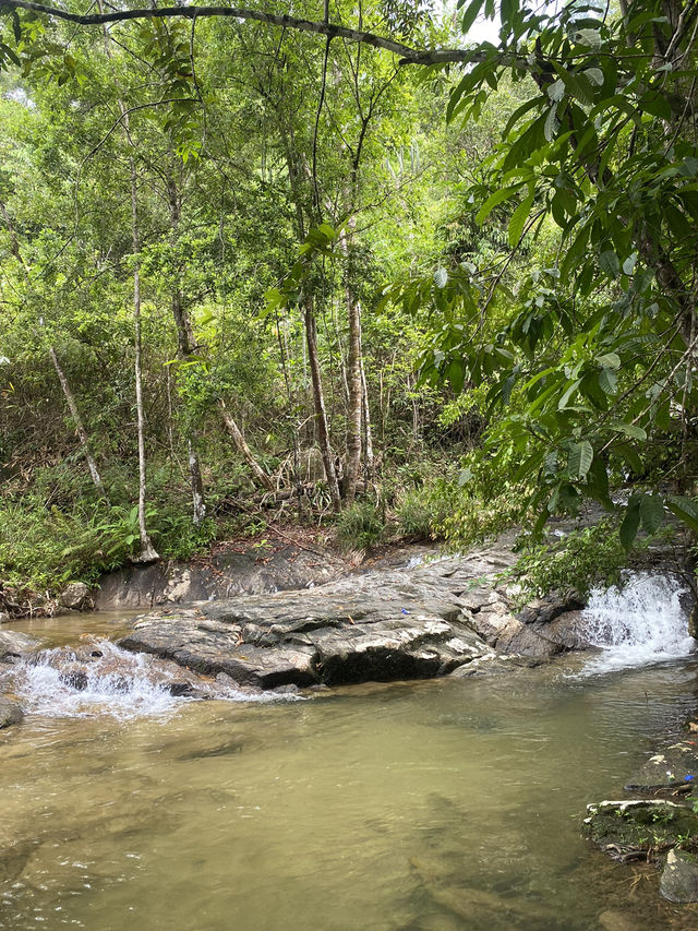 💦 น้ำตกไพรวัลย์ 🌳