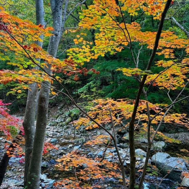 Like Stepping Into a Korean Fairytale