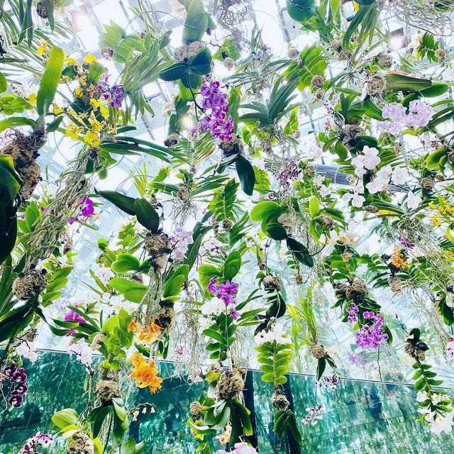 Walking Through Light: A Surreal Escape at teamLab Planets Tokyo 🇯🇵