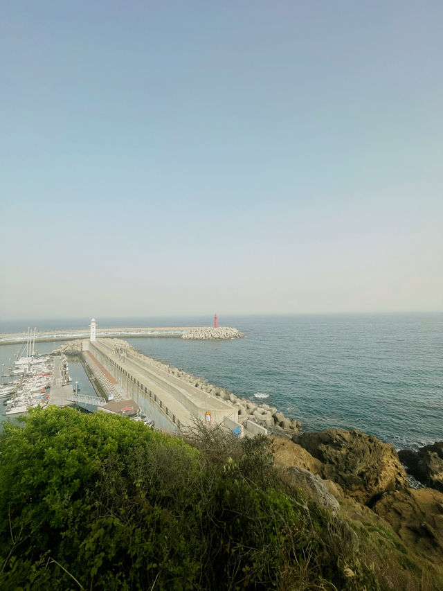 Jeju : Summer Escape for Less 