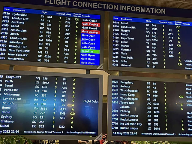 ออสเตรเลีย🇦🇺