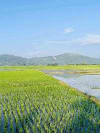 A glimpse of this area - provinc of Nueva Vizcaya