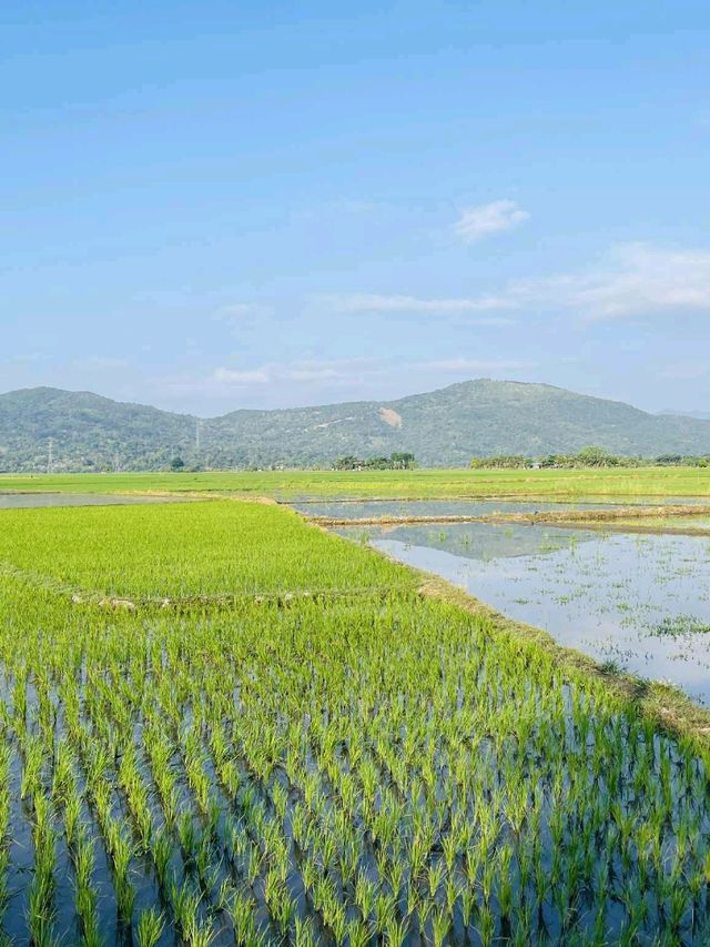 A glimpse of this area - provinc of Nueva Vizcaya