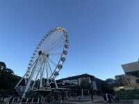 傍晚漫步布里斯班南岸公園：城市中的悠閒綠洲