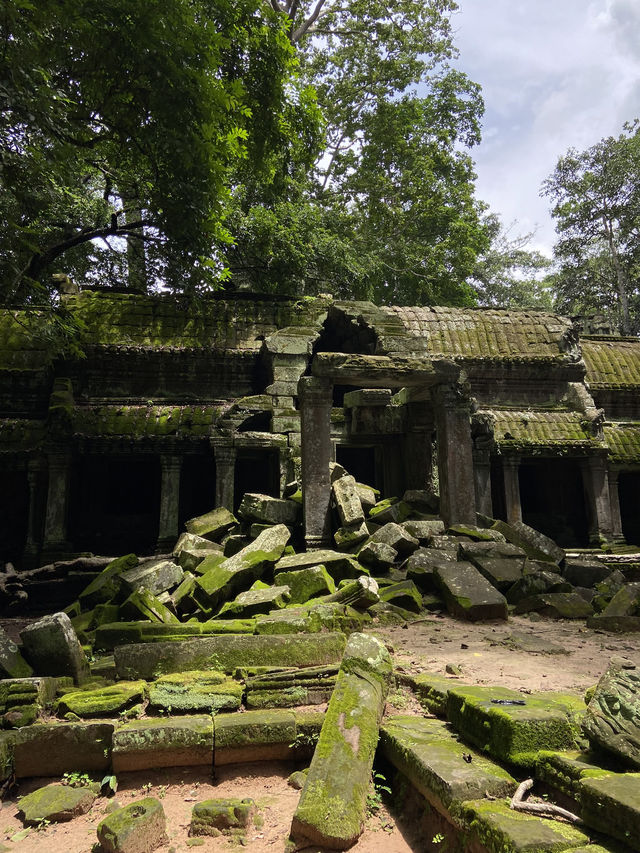 【世界遺産】アンコールワットは史上最高の廃墟🇰🇭