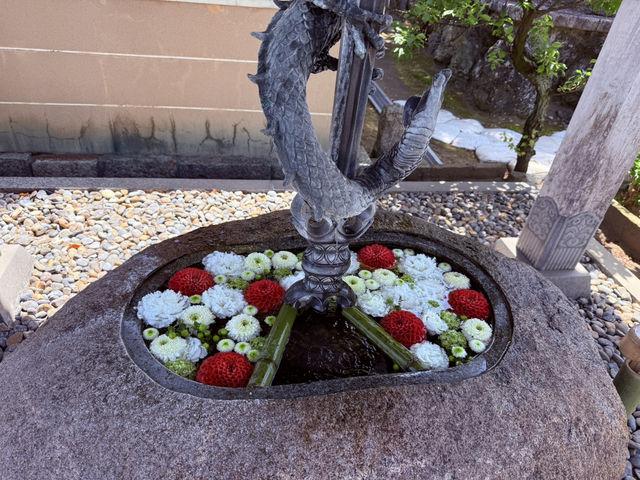花開見佛-銚子妙福寺與來自京都的臥龍の藤