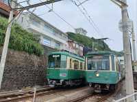 Self drive to experience Edo period traditions and sights to modern city