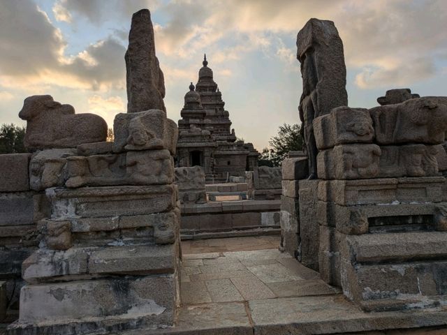 南インド・ドラヴィダ文化に浸る旅
