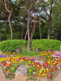 The Namsan Outdoor Botanical Garden