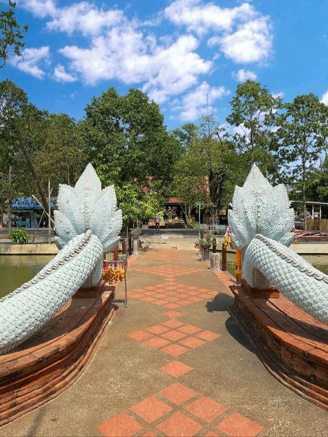 🙏 : วัดป่าคลอง 11 ไหว้พระปทุมธานี