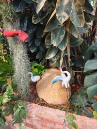 Garden Café Vibes – Zen Moments on a Budget