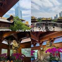 SHANGHAI THROUGH MY LENS 📷