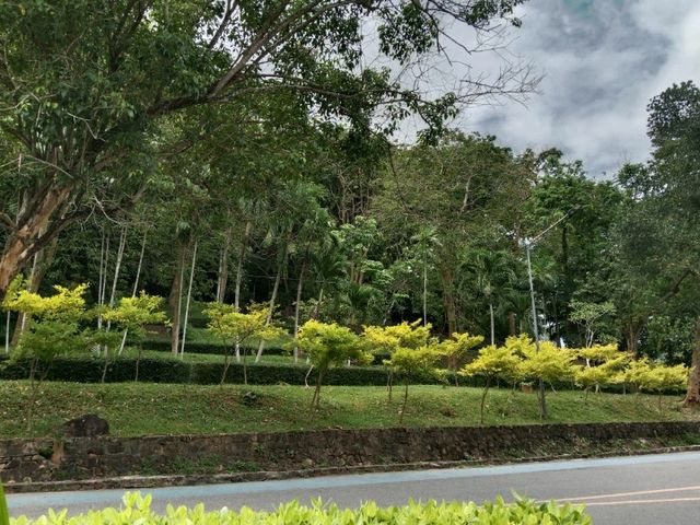 เดินเล่น🌴🌴 ที่สวนสาธารณะเทศบาลนครหาดใหญ่ 🌲🌲กัน