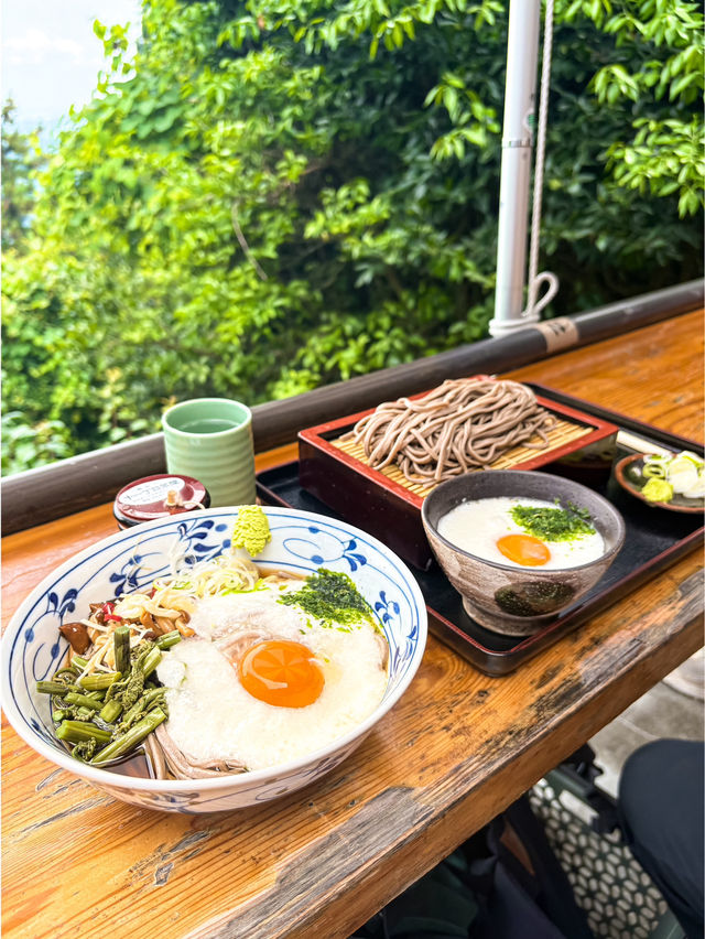 【都心から1時間でいく】癒しの半日高尾山⛰️レポ