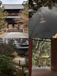 京都·天授庵｜青苔、木廊、錦鯉和古都的慢時間