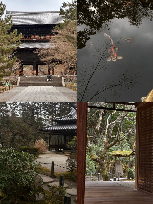 京都·天授庵｜青苔、木廊、錦鯉和古都的慢時間