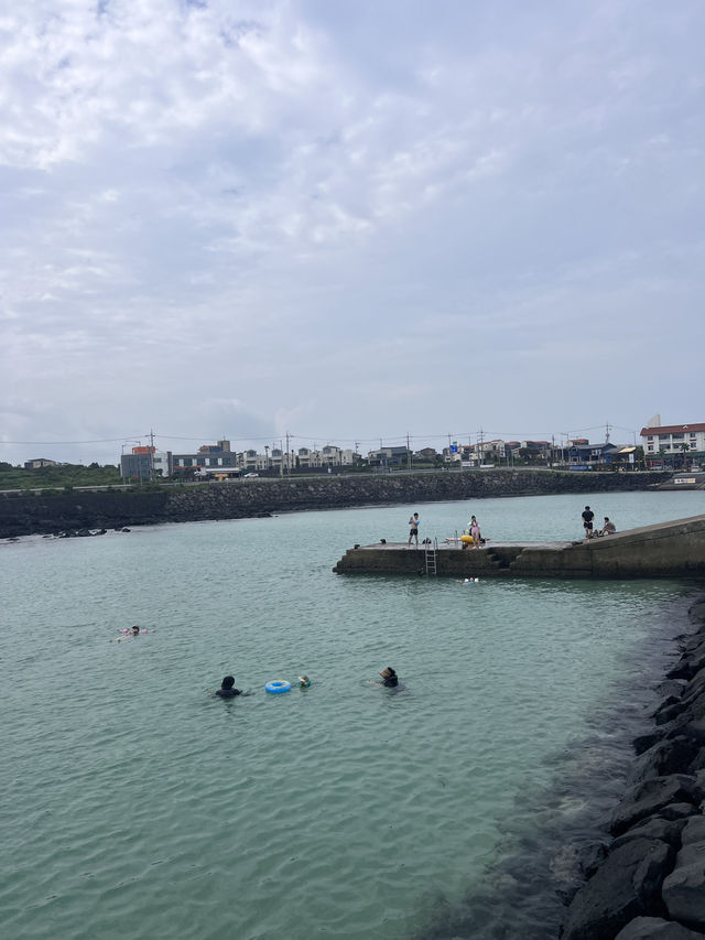 제주도 스노쿨링 명소 판포포구 🐠💙