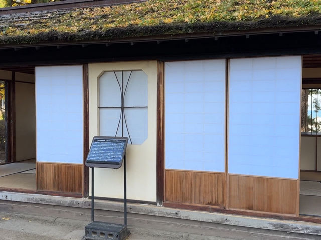 Shimabara Castle: A Hidden Gem of Samurai, Rebellion, and Tranquil Views