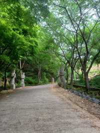 아이와의 모험여행