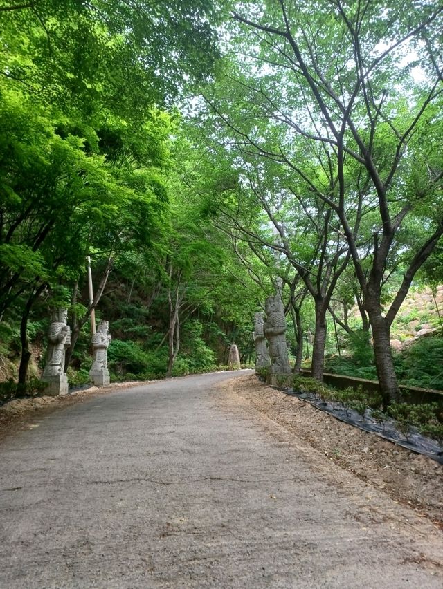 아이와의 모험여행