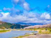 แม่น้ำฮิโนะคิไน (Hinokinai River / 檜木内川) 