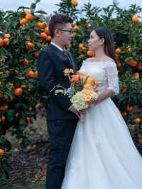🍊 Jeju Orange Field – A Dreamy Summer Wedding Destination Straight Out of a K-Drama 🍊