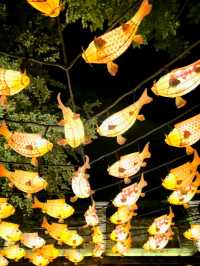 Shopping on the Dreamlights of Gubei Water Town