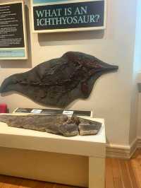 Leicester Museum and Art Gallery