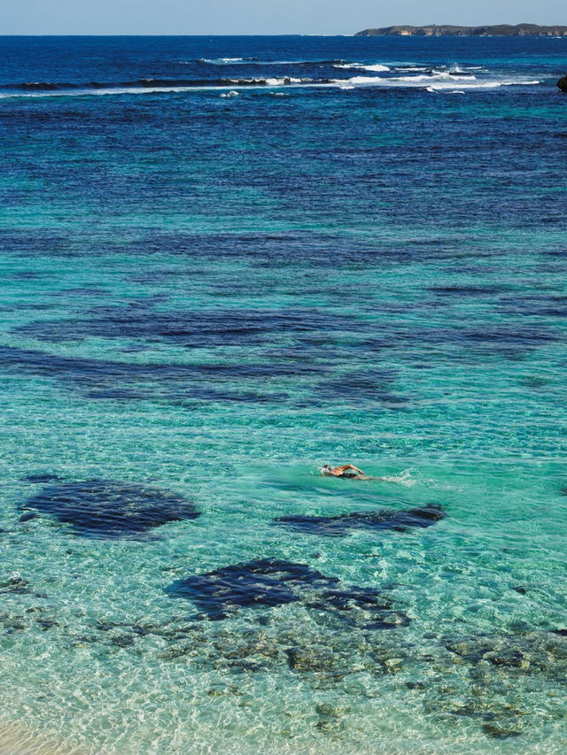 🌟【ロットネスト島（Rottnest Island）】ワールド最高の笑顔と大自然が待つ島 