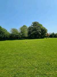Happy Valley Park