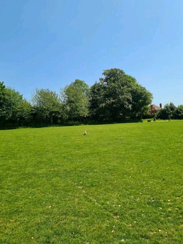 Happy Valley Park
