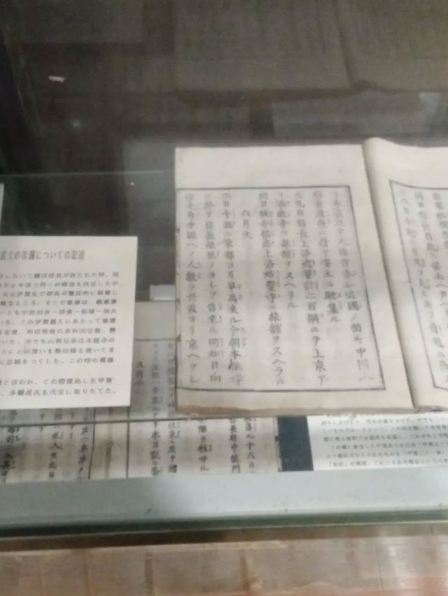 【忍者になれるテーマパーク⁉️】甲賀の里 忍術村で非日常体験の旅🌀