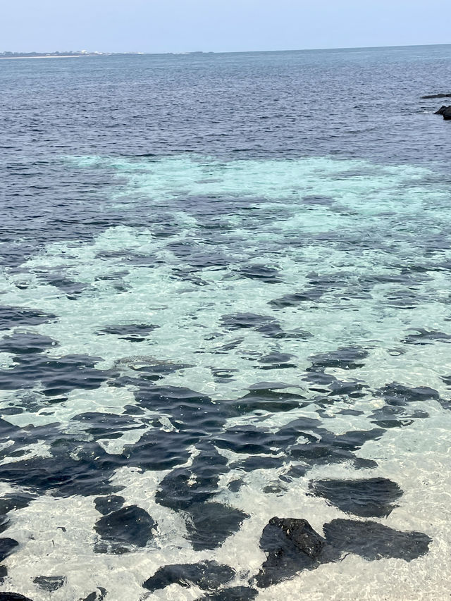 西濱白沙🏖️珊瑚海邊🪸濟州牛島八景之一！