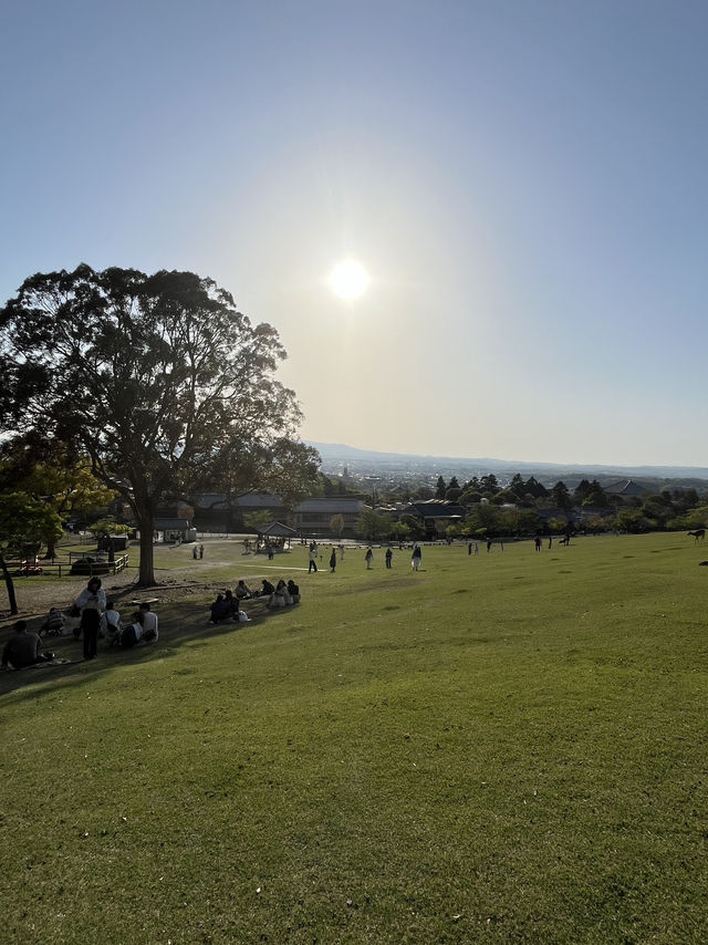 🦌⛰️✨ Quick Guide – Mount Wakakusa & Ikuta Shrine