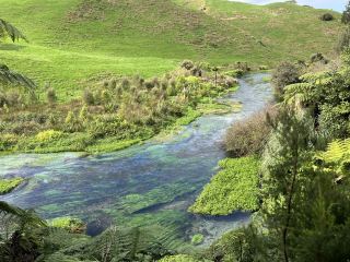New Zealand Travel Destination—Blue Springs｜A Dreamy Water Source Clearer Than Pocari Sweat