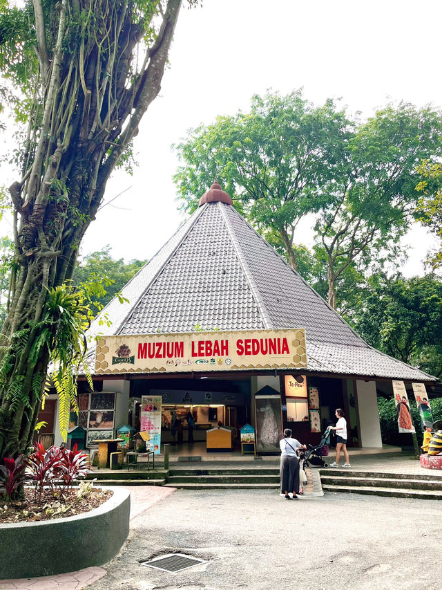 Muzium Lebah Sedunia: A Sweet Spot for Bee Lovers