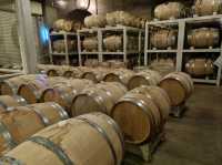🍇 Wines with a View: A Sip of Furano’s Charm